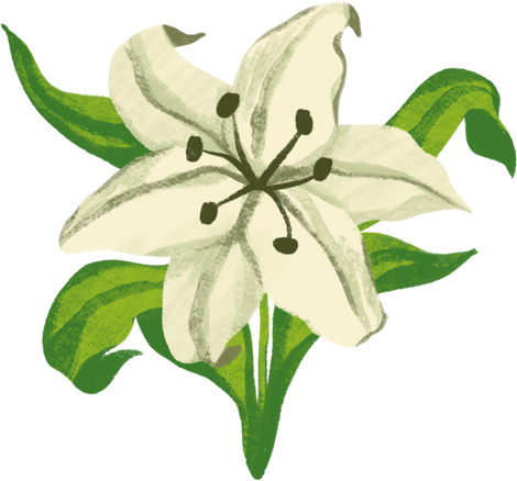 Detailed Traditional Lily Flower